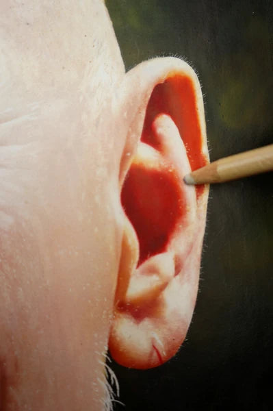 Blair Scratchable Airbrush Paper– Approx. 13.5" × 19"